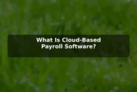 What Is Cloud-Based Payroll Software? What Is Cloud-Based Payroll Software?