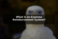 What Is an Expense Reimbursement System? What Is an Expense Reimbursement System?